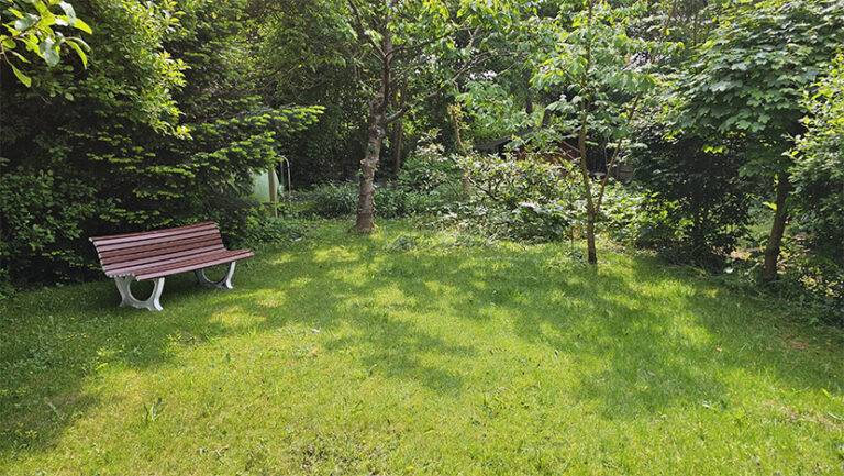 003_Blick-in-den-Garten